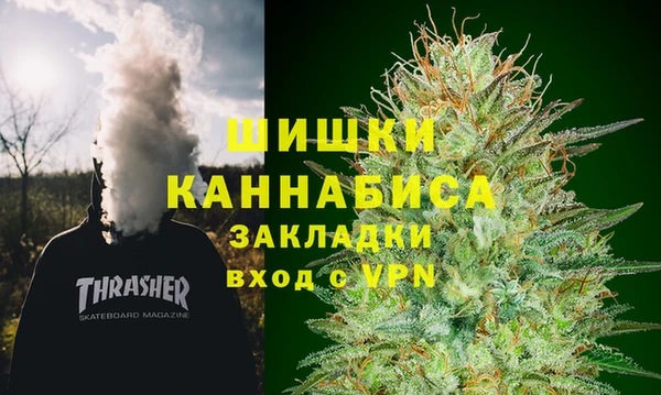 ПСИЛОЦИБИНОВЫЕ ГРИБЫ Алексин
