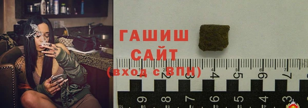 стаф Алзамай
