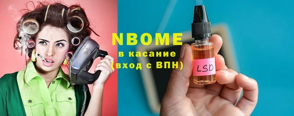 стаф Алзамай
