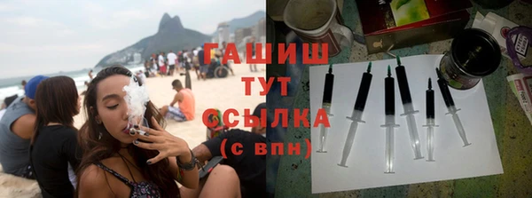стаф Алзамай