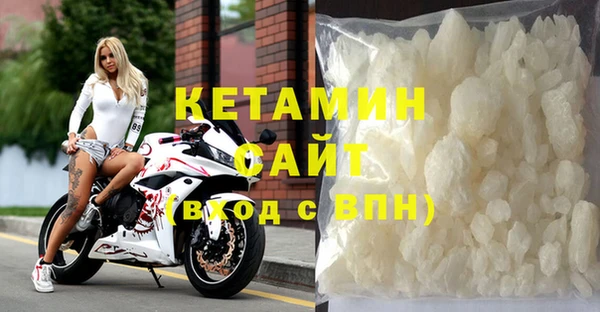 стаф Алзамай