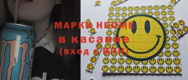 стаф Алзамай