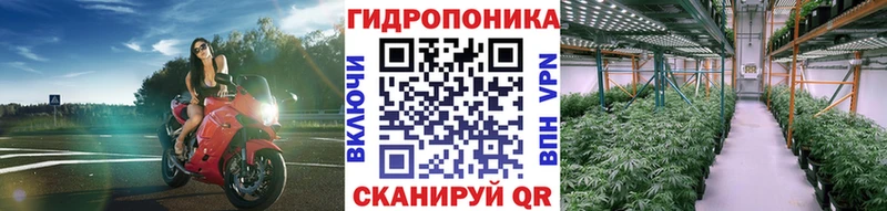 МАРИХУАНА AK-47  Лермонтов 